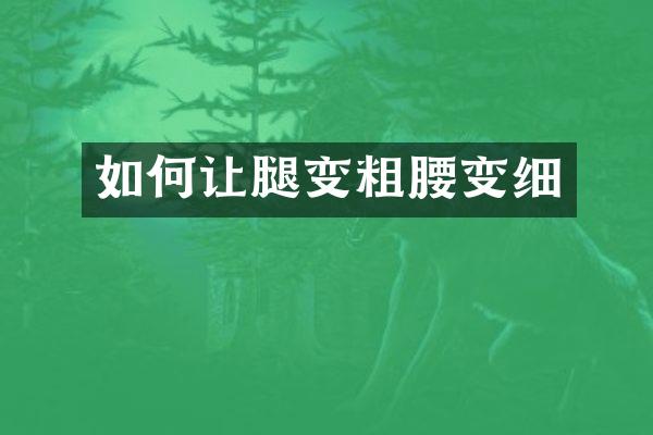 如何让腿变粗腰变细