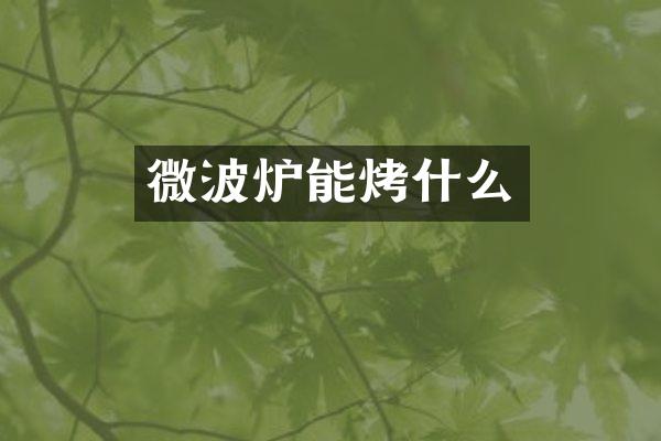 微波炉能烤什么