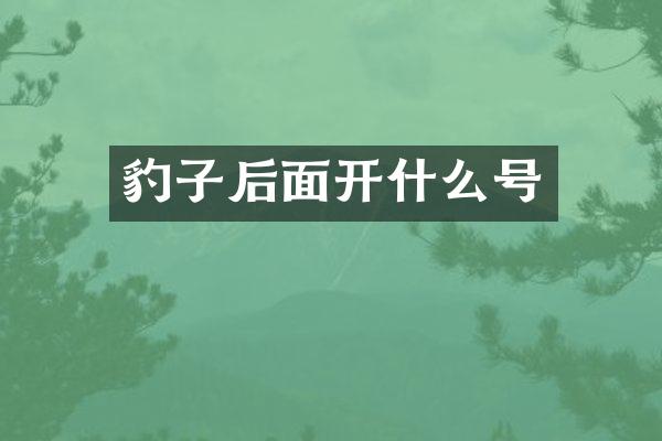 豹子后面开什么号