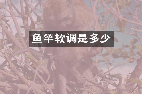 鱼竿软调是多少