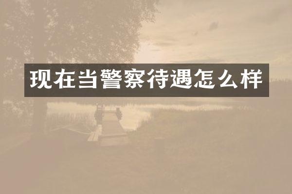 现在当警察待遇怎么样