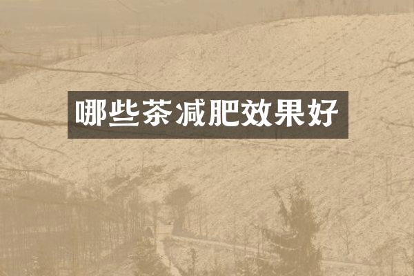 哪些茶减肥效果好