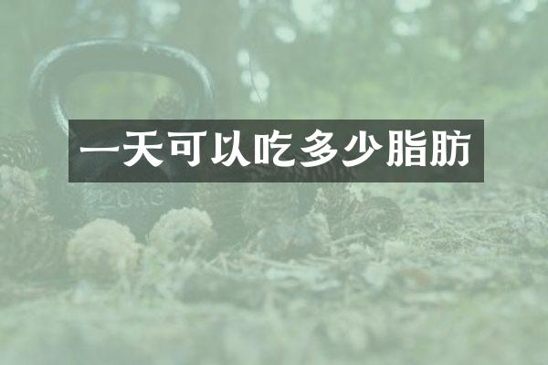 一天可以吃多少脂肪