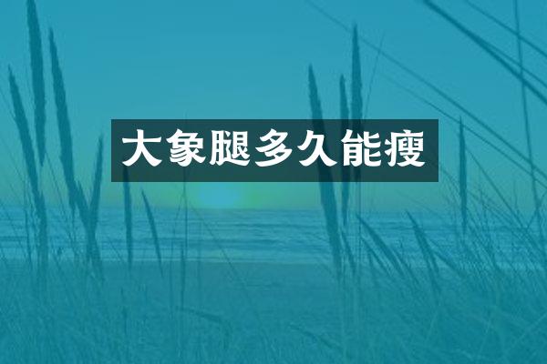 大象腿多久能瘦