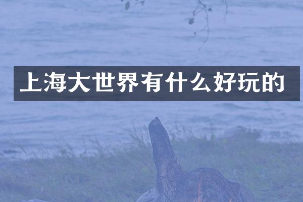 上海大世界有什么好玩的