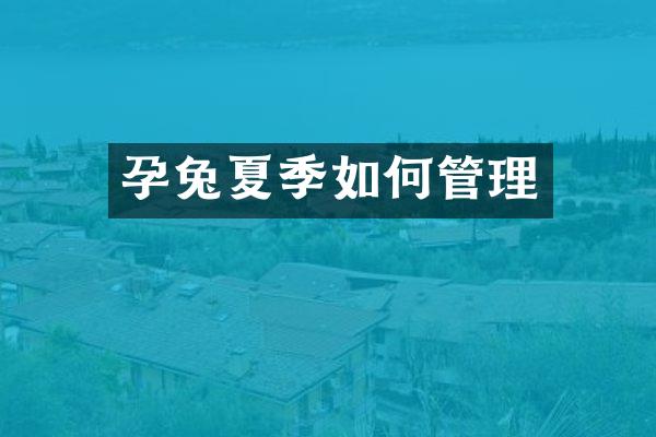 孕兔夏季如何管理