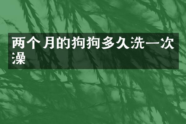 两个月的狗狗多久洗一次澡