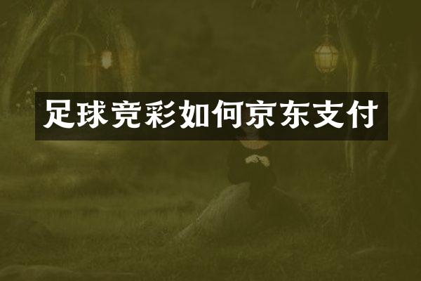足球竞彩如何京东支付