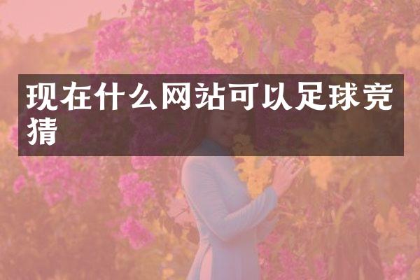 现在什么网站可以足球竞猜