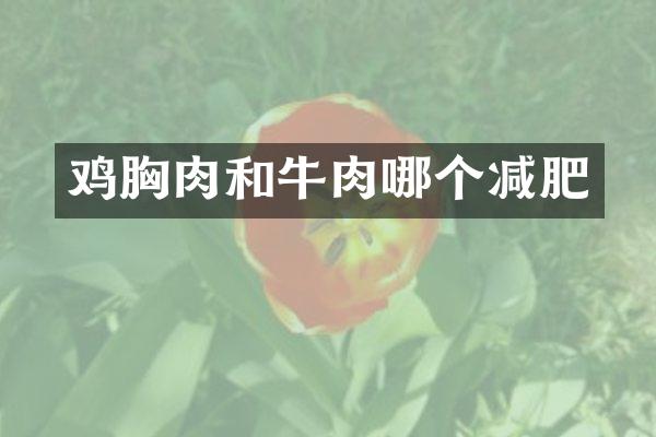 鸡胸肉和牛肉哪个减肥