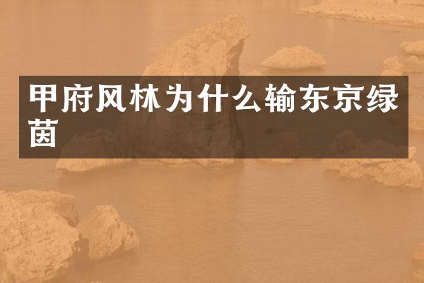 甲府风林为什么输东京绿茵