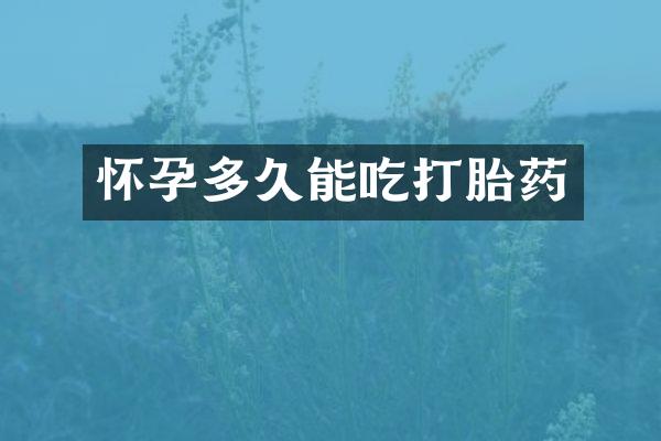 怀孕多久能吃打胎药