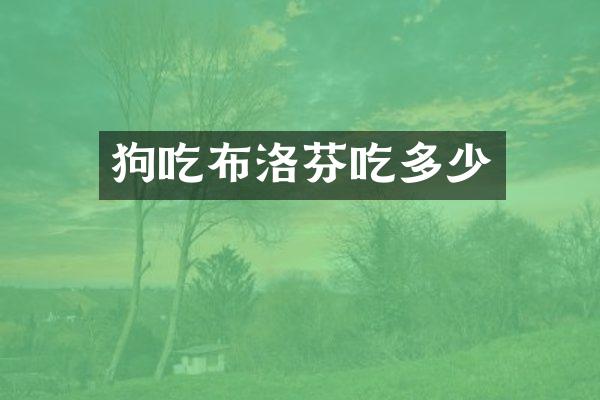狗吃布洛芬吃多少