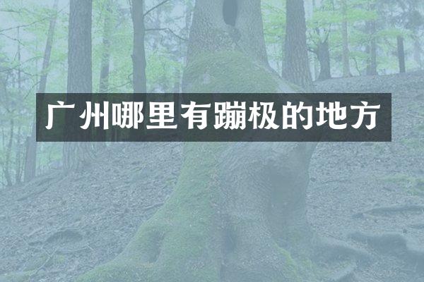 广州哪里有蹦极的地方
