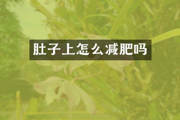 肚子上怎么减肥吗