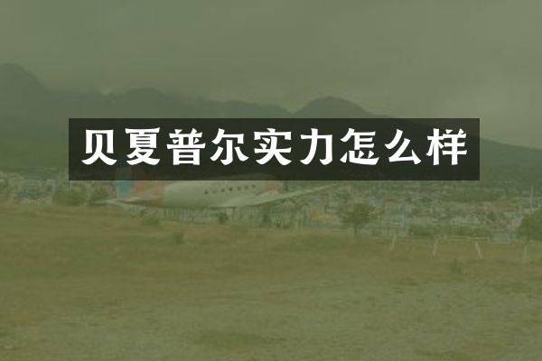 贝夏普尔实力怎么样