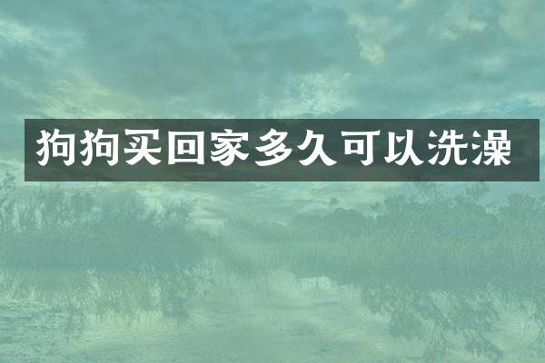狗狗买回家多久可以洗澡
