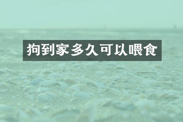 狗到家多久可以喂食