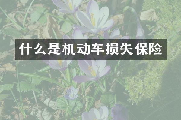 什么是机动车损失保险