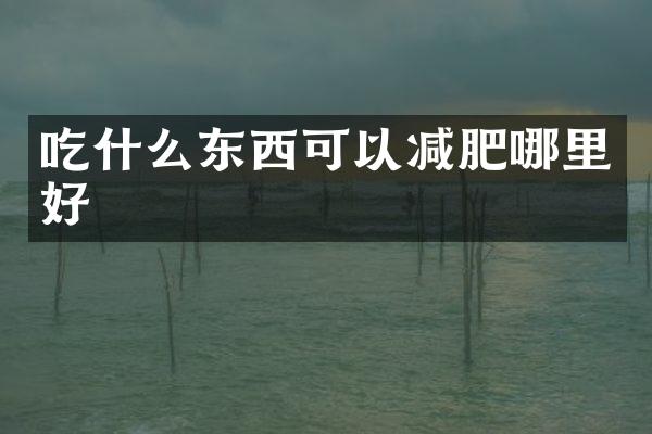 吃什么东西可以减肥哪里好