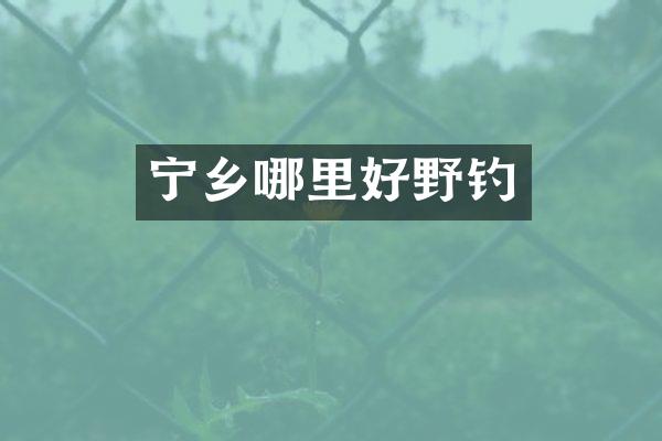 宁乡哪里好野钓