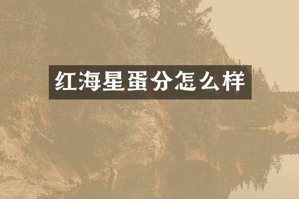 红海星蛋分怎么样