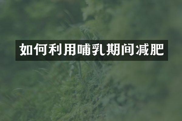 如何利用哺乳期间减肥