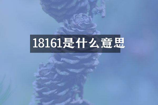 18161是什么意思