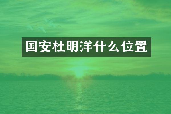 国安杜明洋什么位置