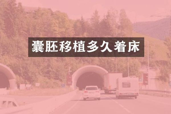 囊胚移植多久着床