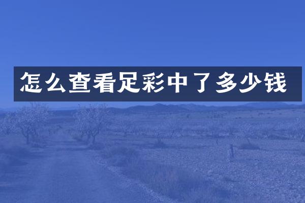 怎么查看中了多少钱