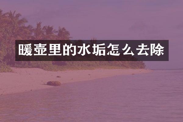 暖壶里的水垢怎么去除