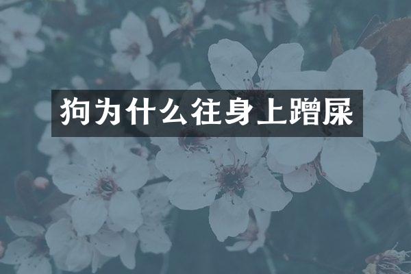 狗为什么往身上蹭屎