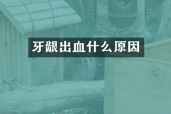 牙龈出血什么原因