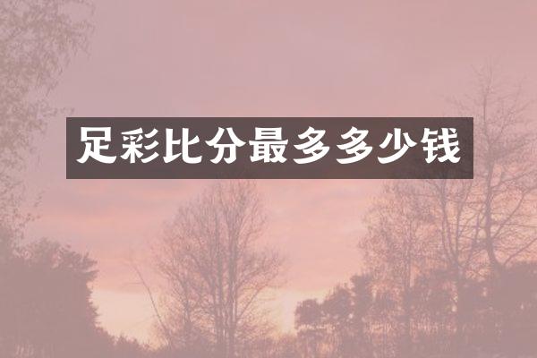 比分最多多少钱