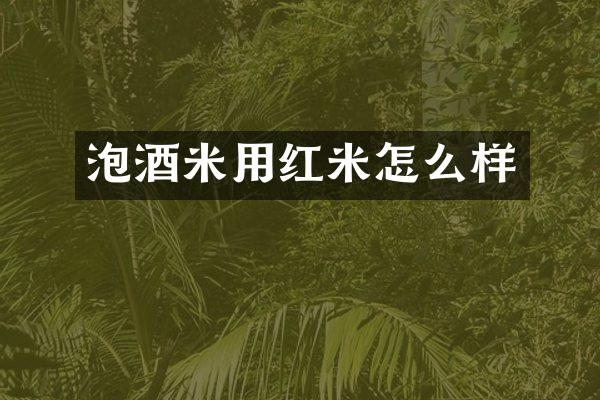 泡酒米用红米怎么样