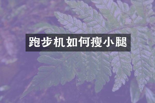 跑步机如何瘦小腿