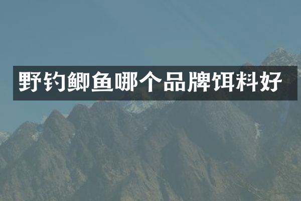 野钓鲫鱼哪个品牌饵料好