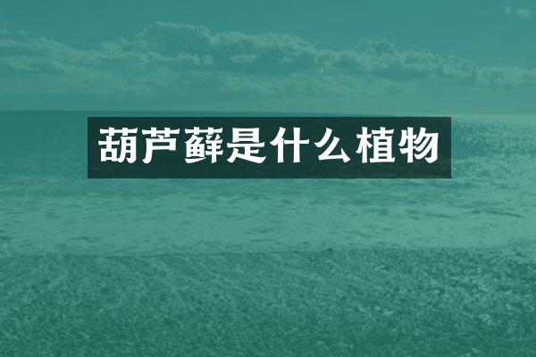 葫芦藓是什么植物