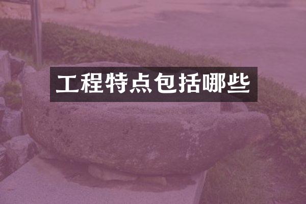 工程特点包括哪些