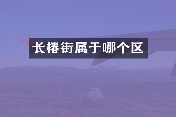 长椿街属于哪个区
