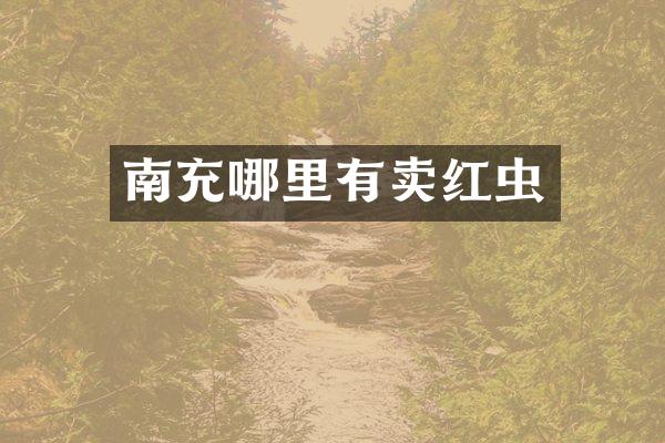 南充哪里有卖红虫