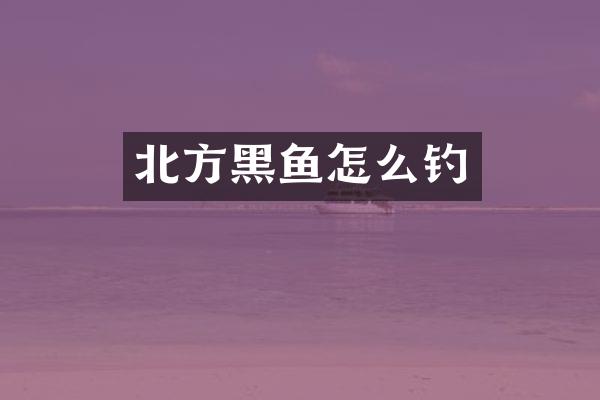 北方黑鱼怎么钓