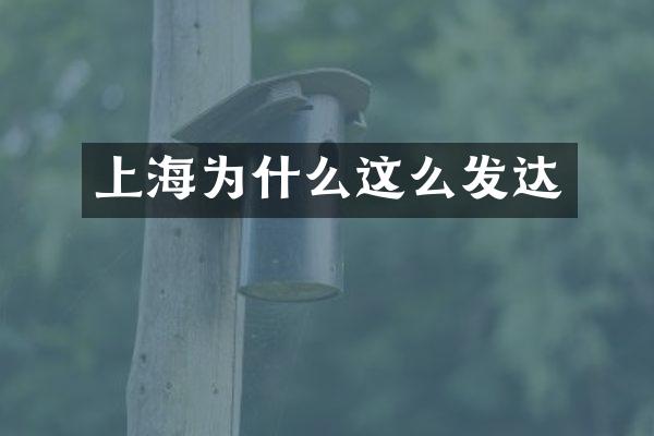 上海为什么这么发达