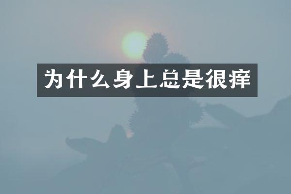 为什么身上总是很痒