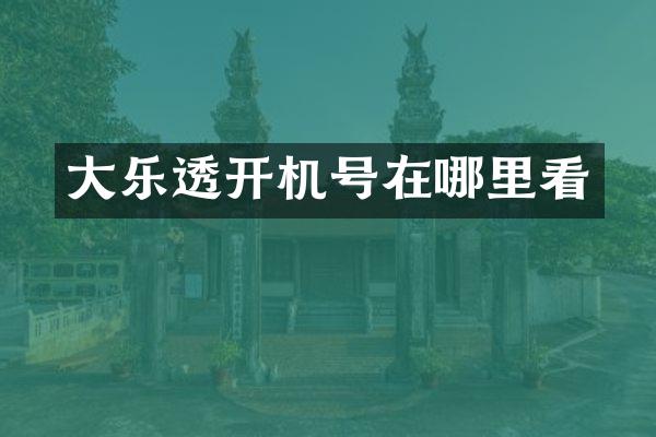 大乐透开机号在哪里看