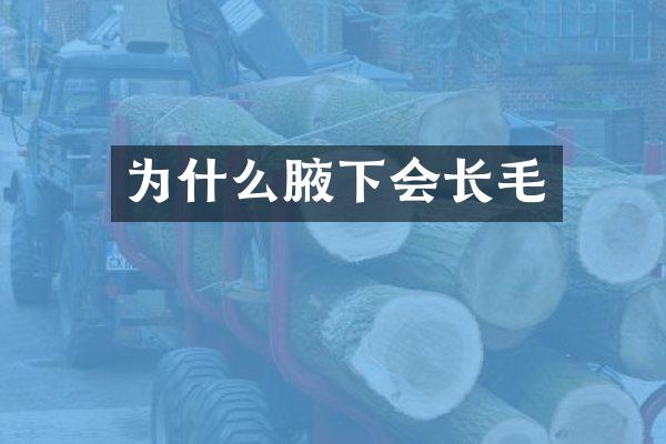 为什么腋下会长毛