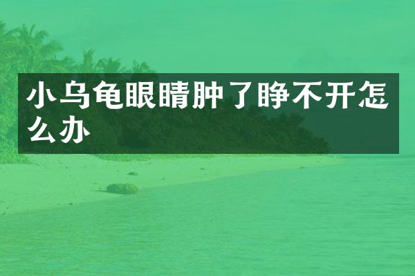 小乌龟眼睛肿了睁不开怎么办