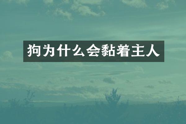 狗为什么会黏着主人
