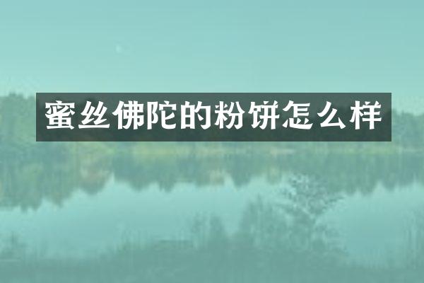 蜜丝佛陀的粉饼怎么样